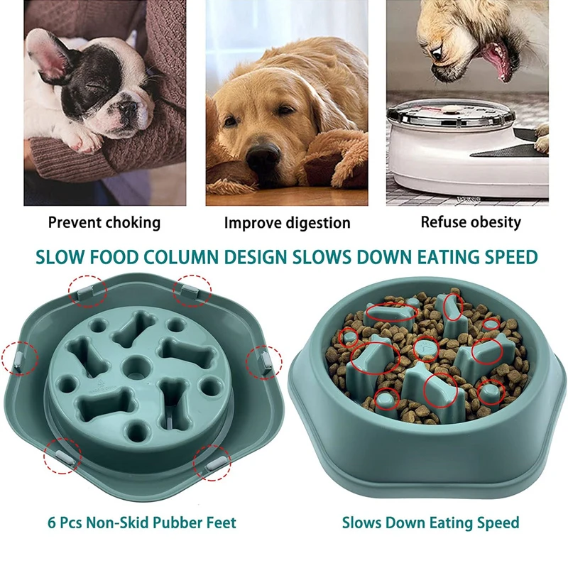 Neuer Slow-Feeder Hundenapf An – Royal Canin Food Medium Bewertung und Preis