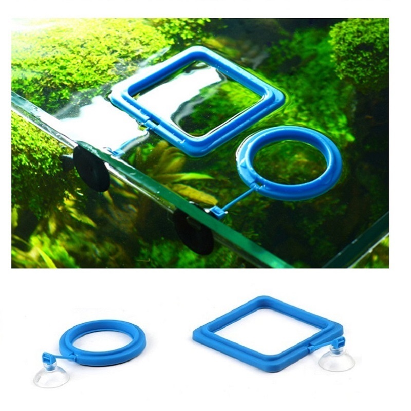Fisch Fütterung Ring Feeder An – Tetra Food Tropical Flakes Bewertung und Preis