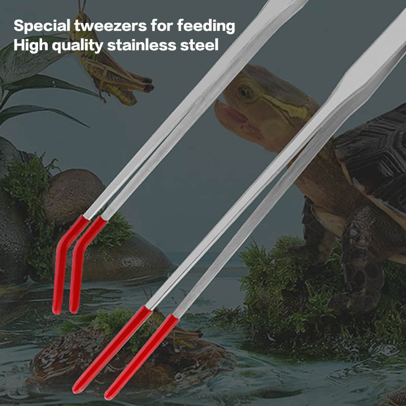 Reptilien-Fütterungszange mit  – Feeding Tong Stainless Bewertung und Preis