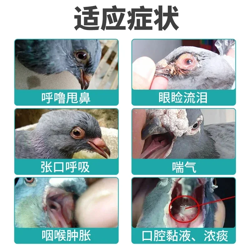 Papageien Fleisch tauben Hühne – Vitamin D3 Reptile Bewertung und Preis